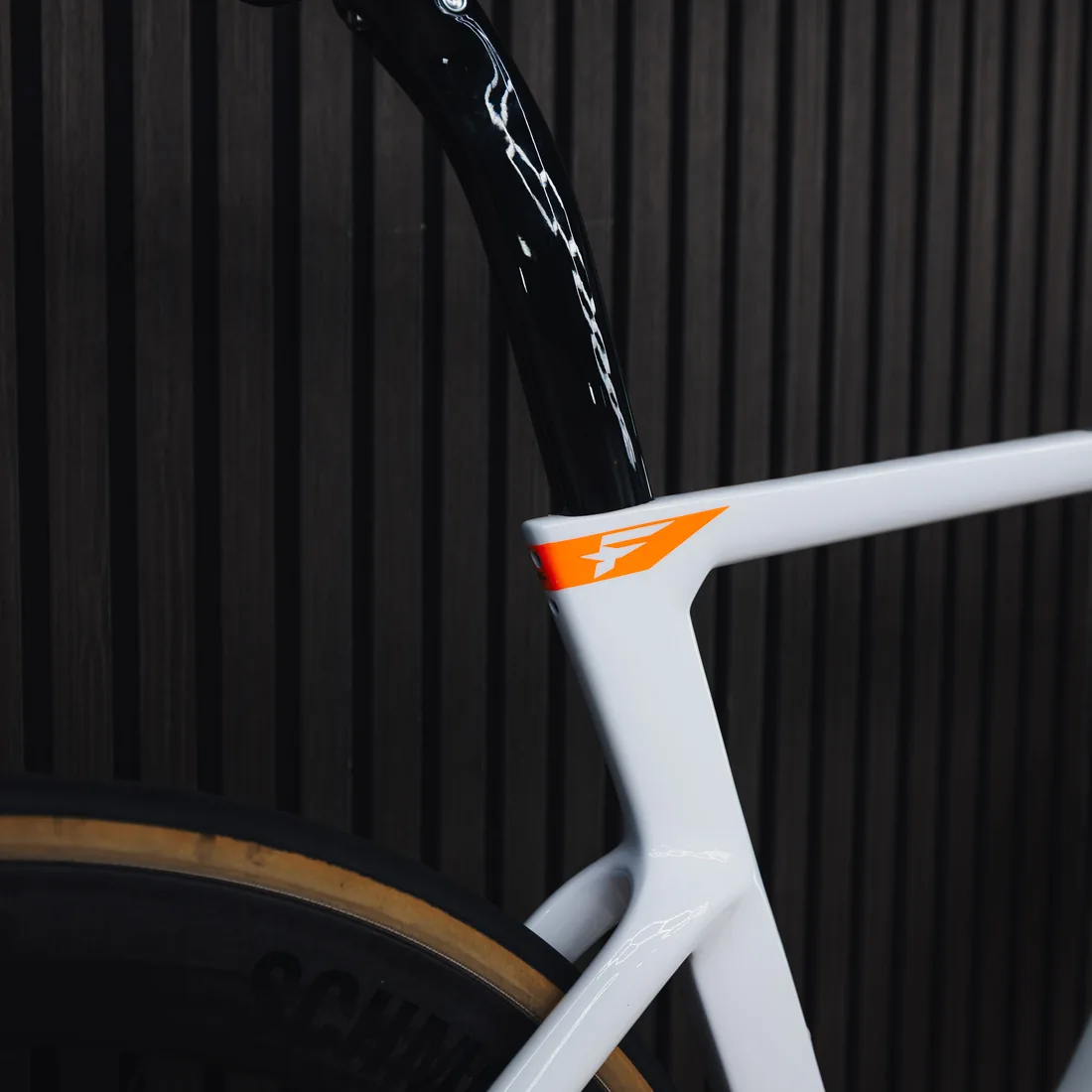 Pinarello Dogma build detail 2