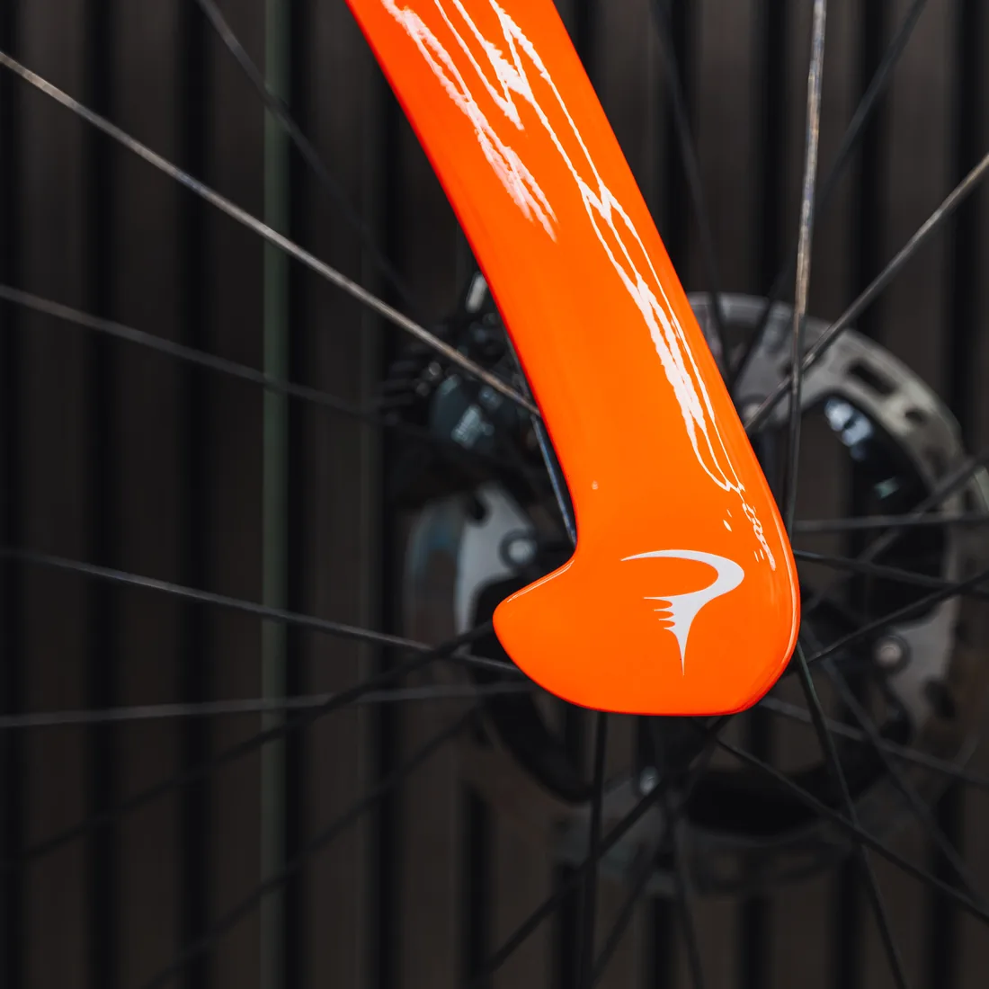 Pinarello Dogma build detail 6
