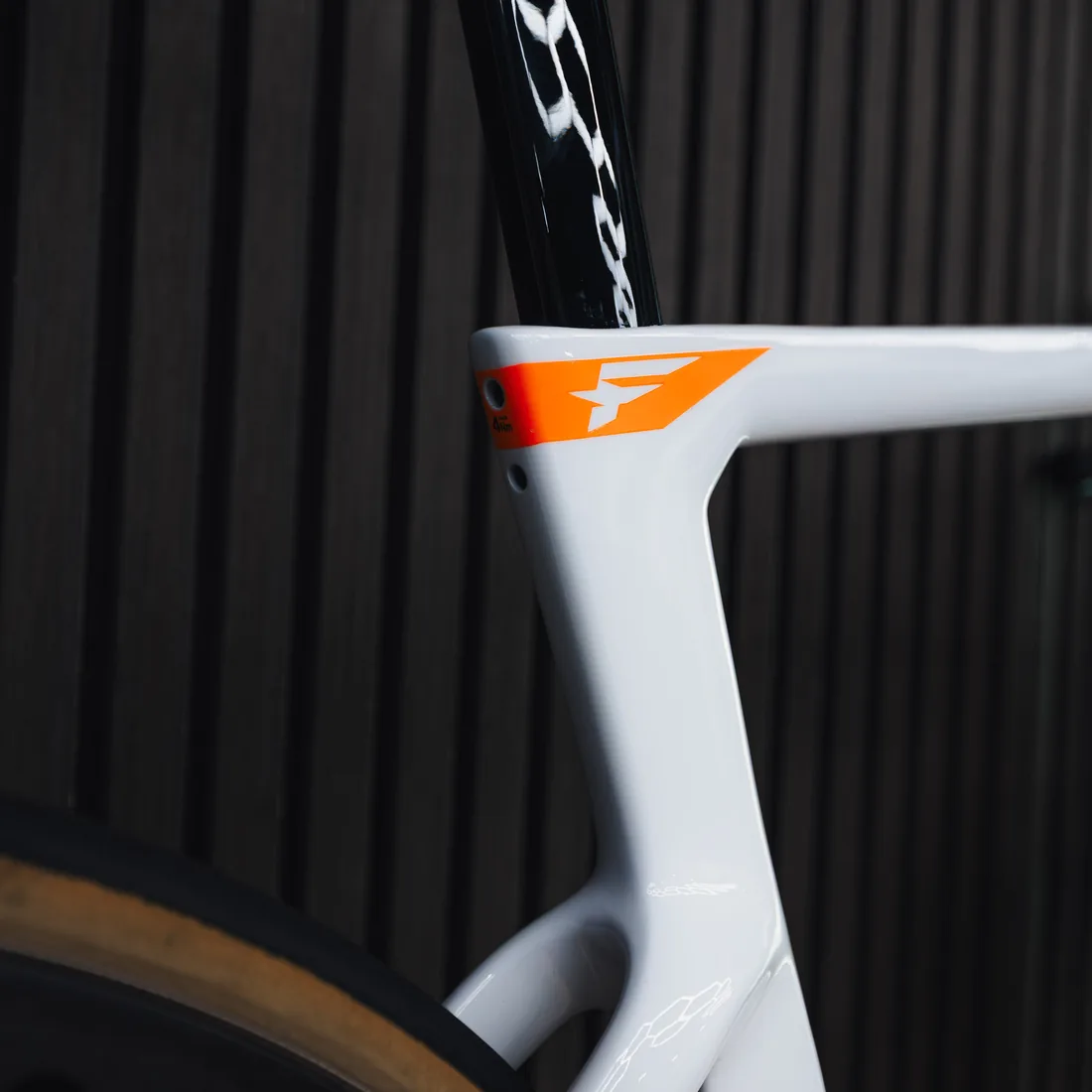 Pinarello Dogma build detail 7